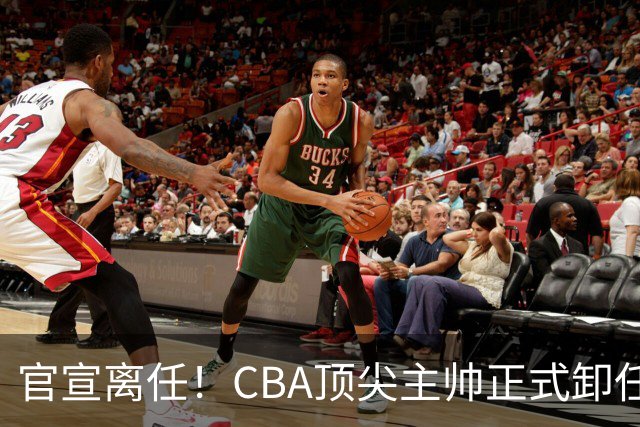 官宣离任！CBA顶尖主帅正式卸任，或将加盟广东宏远，有望接替杜锋